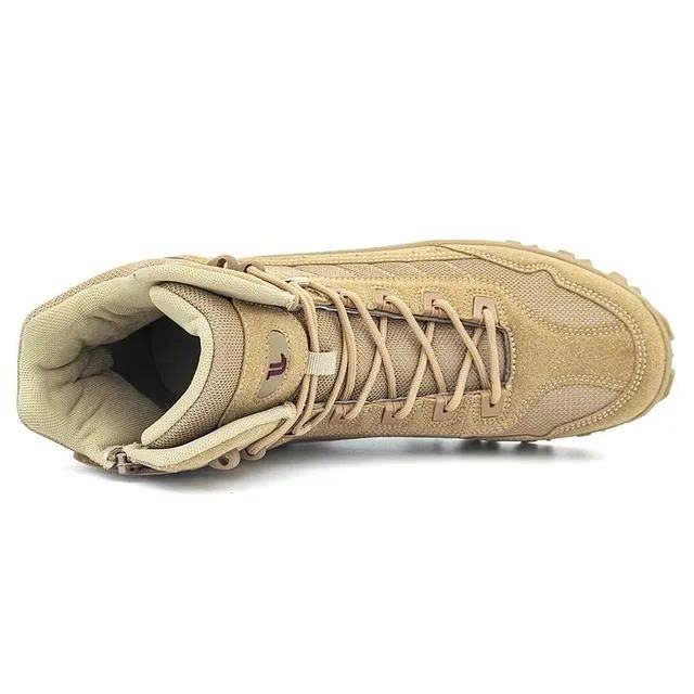 Preview /6a055dadd1eb0300096c1932/2026/05/14/product-img-6a056055f3feac0736ac795f.jpg